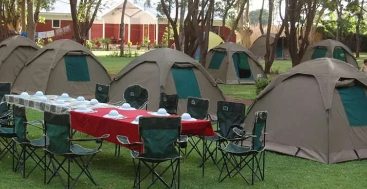 Camping Safari in Tanzania