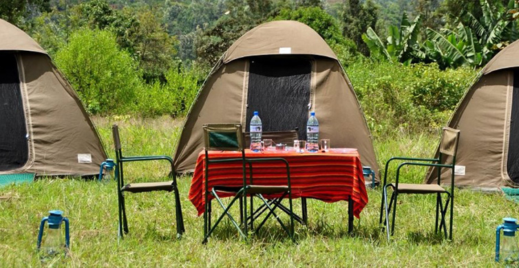 Camping Safari in Tanzania